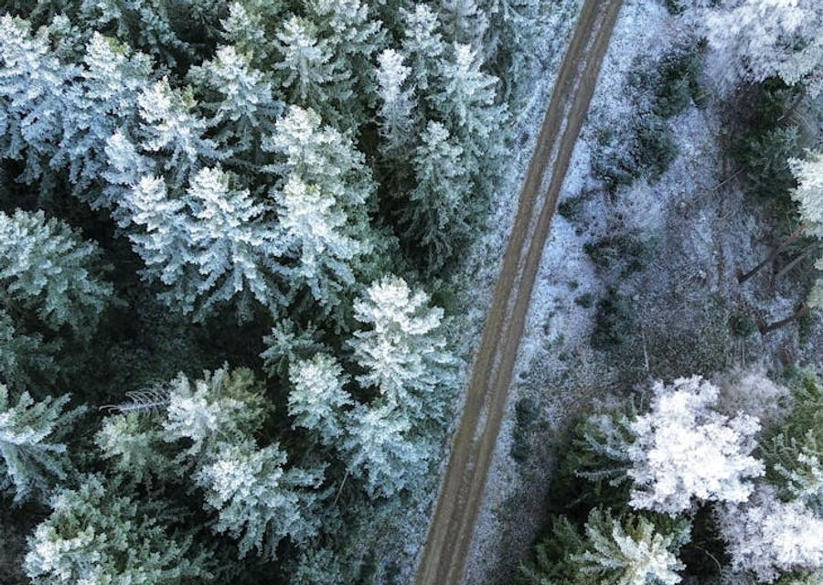 The Wellness Revolution: Sexual Health as a Pillar of Well-being