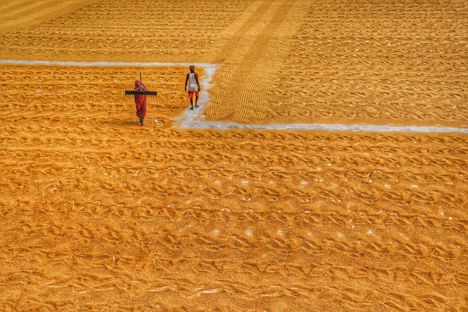 gold price, gold rate, silver price, silver rate, gold price in India, gold rate today, gold price per gram, 24 carat gold, 22 carat gold