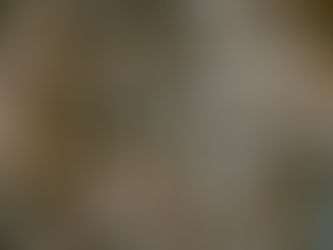 Flores Settlement: Latest Court Ruling and Oversight Explained