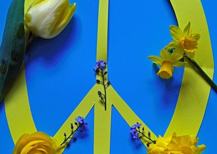 Ukraine peace negotiations