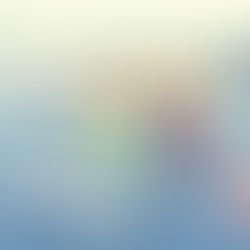 The Age of Identikit: Unpacking Design Convergence in Apps, Products, and Beyond