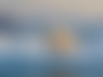 The “Antarctic Archive”: When Melting Ice Reveals Prehistoric Campsites