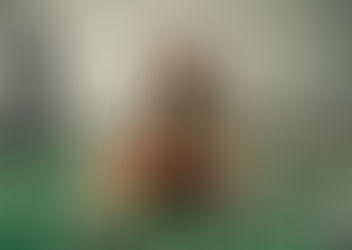 The Privacy Deception: Unpacking Corporate Resistance to Digital Safety Mandates