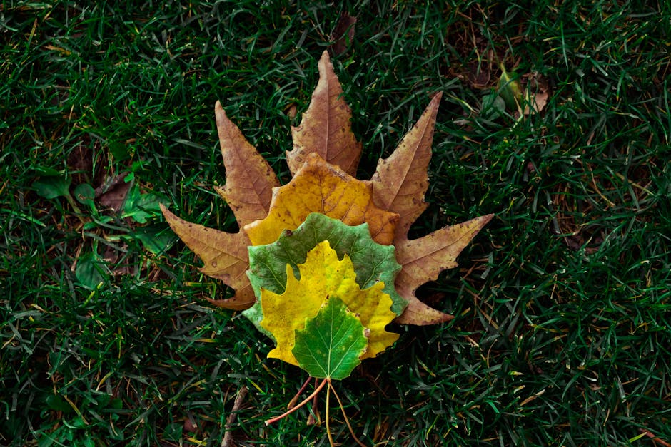 Israel Iran airstrikes retaliation