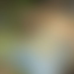 VLA-4 Models and the 'Zero-Shot' Revolution in Physical Autonomy