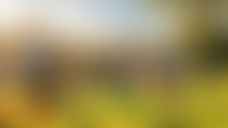 Energize Your Family: Rediscovering Joy Through Active Sports & Play