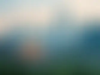 Building Network States: Inside Malaysia's Forest City Experiment