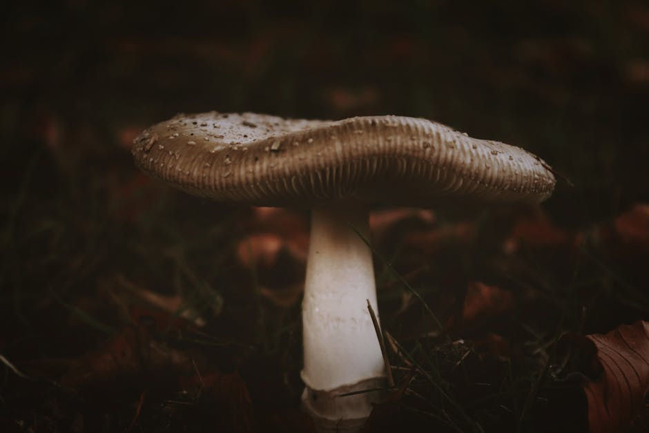 The Shocking Narrative of the Mushroom Murders