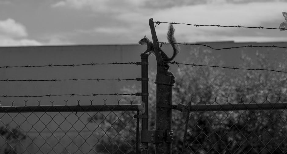 Sebi,IPO,security deposit,Initial Public Offerings,securities and exchange board of india,investor complaints,digital application,ASBA,UPI,regulatory landscape
