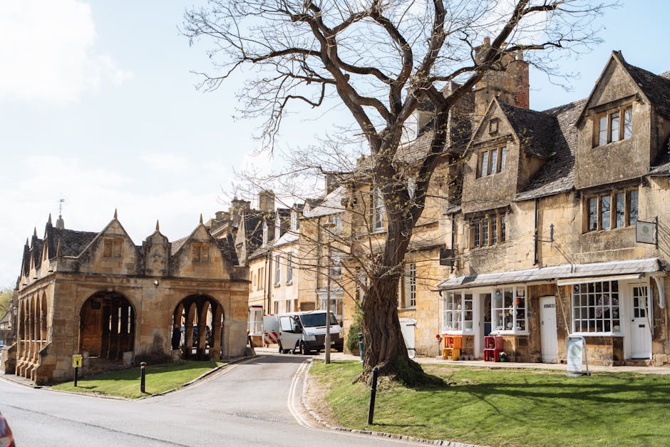 Elon Musk's Influencers