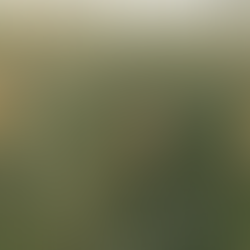 NYSE’s “Neural Tier” Could End Earnings Season: Real-Time AI Auditing Comes to Listings