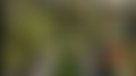 Unlock Year-Round Growth: The Enduring Allure of Hobby Greenhouses in 2024-25