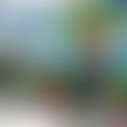 Unlock Group Creativity: The Enduring Magic of Collaborative Murals