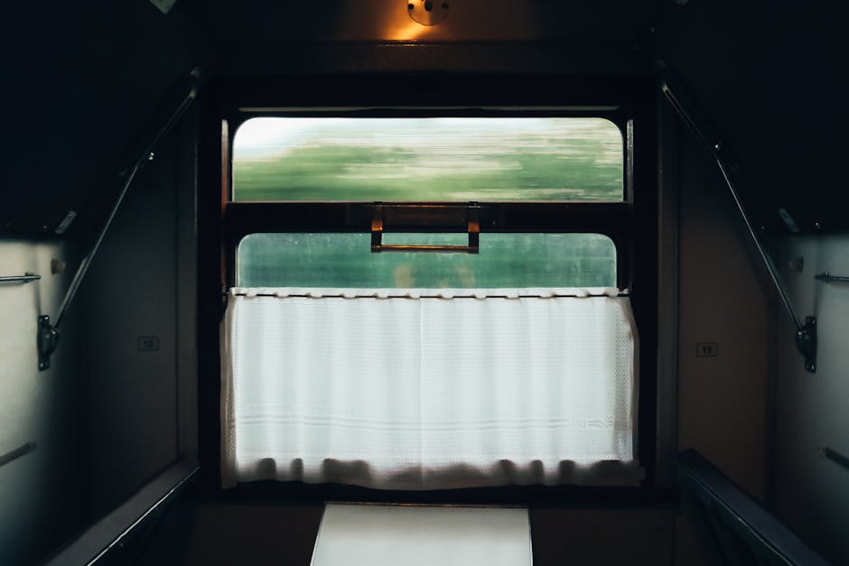 China's High-Speed Train
