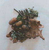 compo nature.jpeg