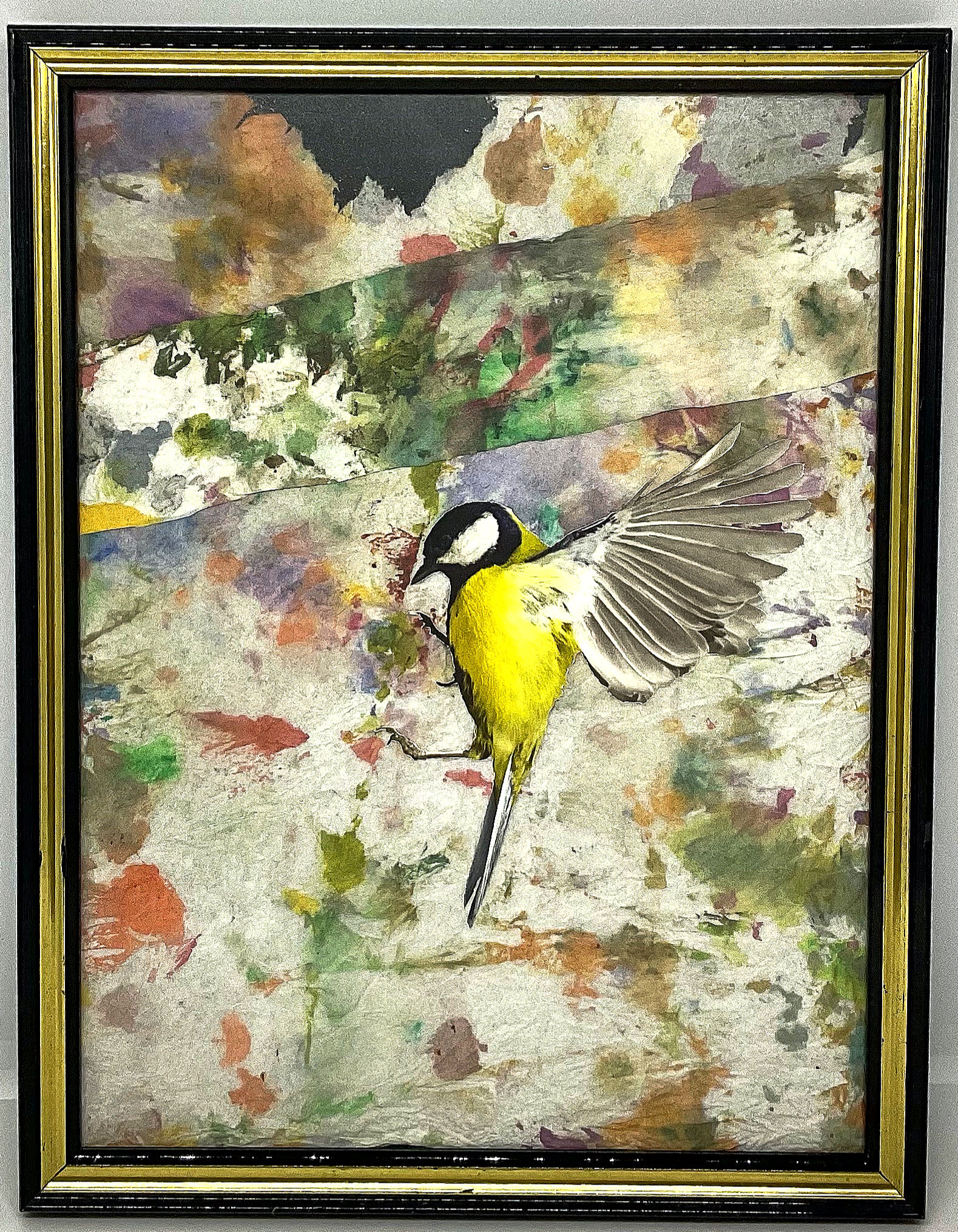 Mésange charbonnière