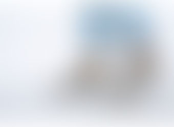 #2 ,,A woman with good shoes is never ugly"