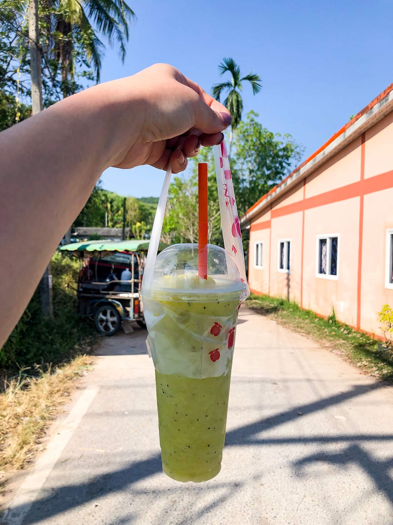 Smoothie with Handle