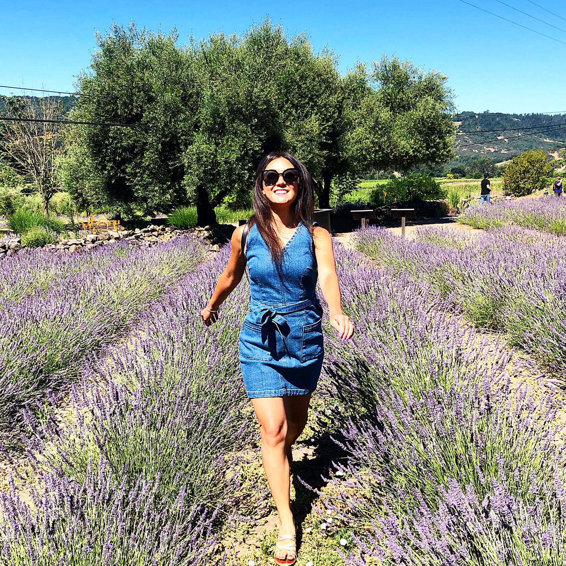 Matanzas Creek Winery
