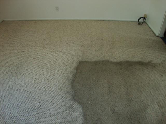 CARPET CLEANING