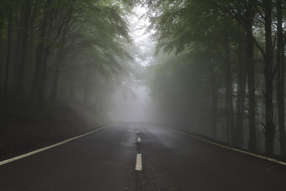 The future is uncertain, you cannot change this, but you can change how you meet it.