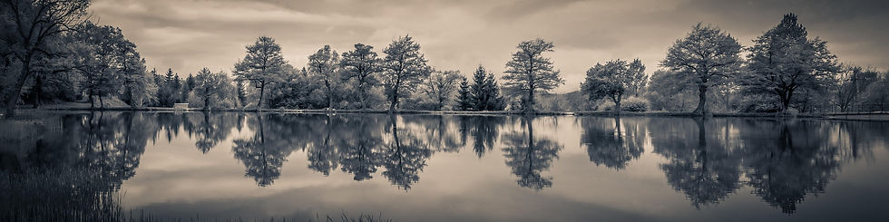 Reflection is the gateway to learning.
