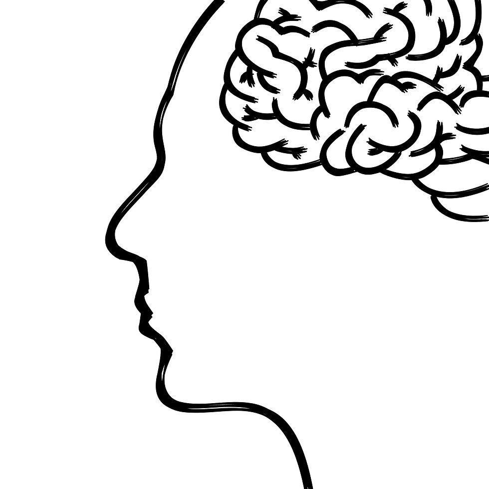 The brain is a prediction engine.