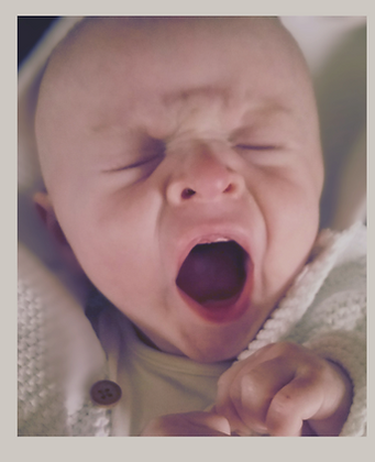 Add a heading (2).png