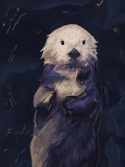 [T100] Rosa the Sea Otter