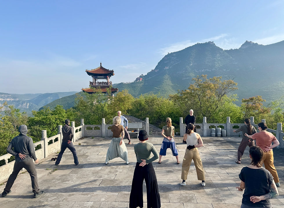 Tara and fellow Qi Gong practitioners doing the Jin Jing Gong 14 movements in a sunny courtyard