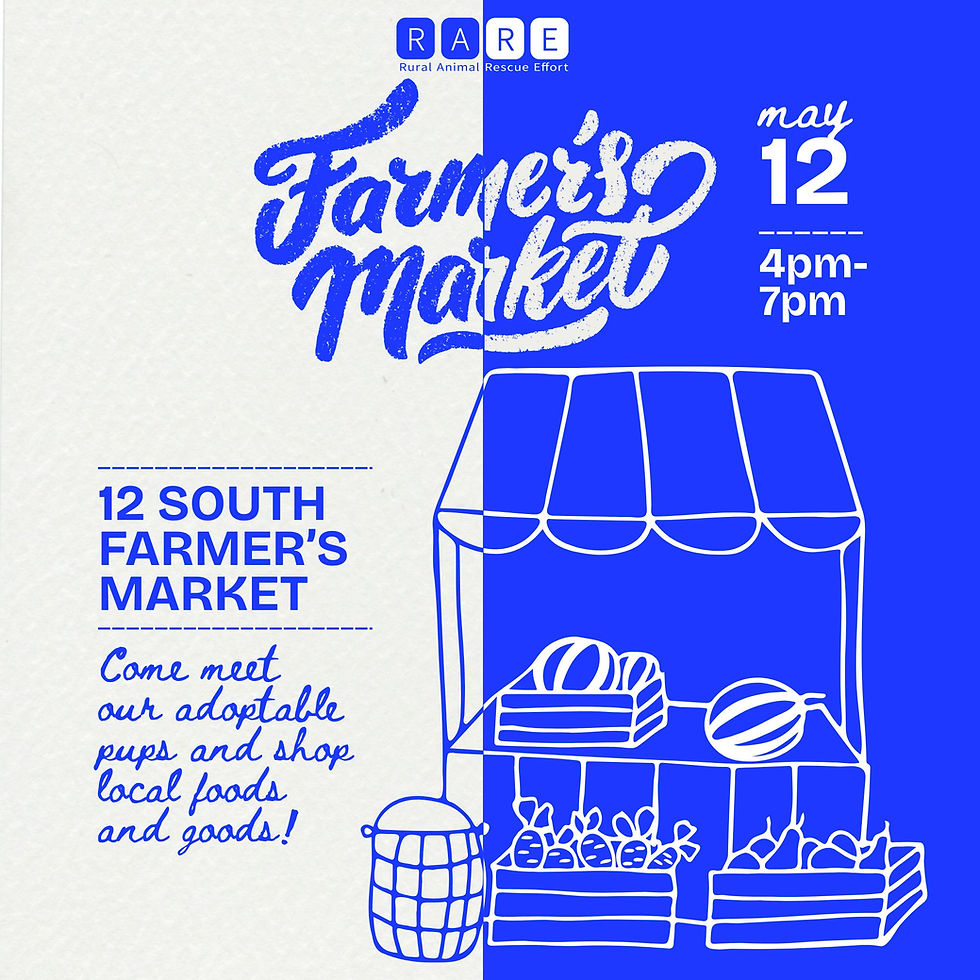 12 South Farmer’s Market