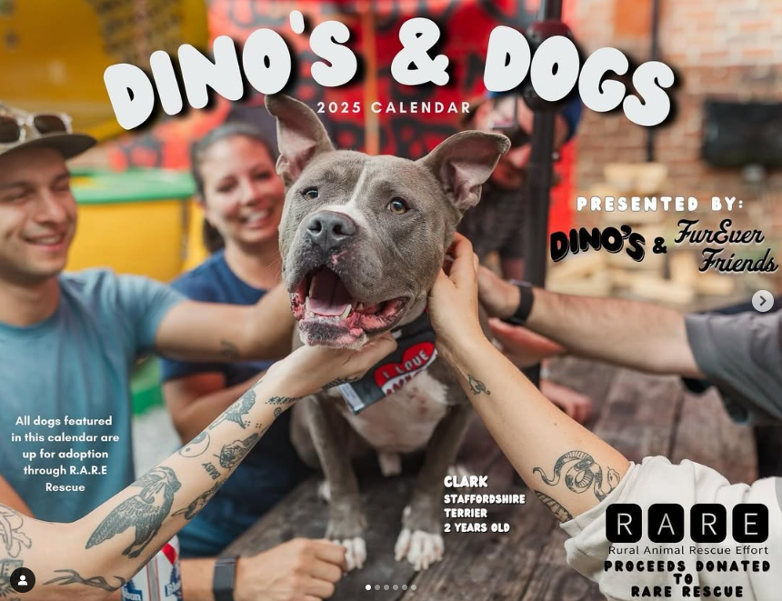 Dino's & Dogs Calendar is Available now!