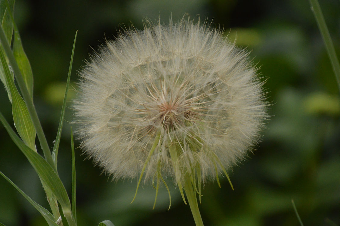DSC_0039.JPG