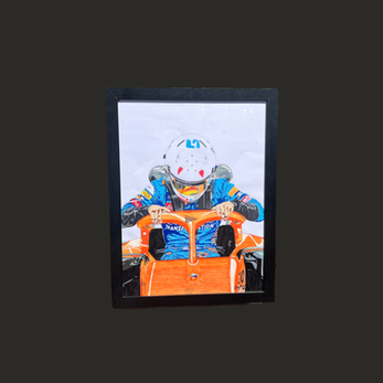 F1 Driver Lando Norris