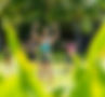 DSC04001_edited.jpg