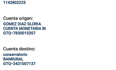 Ejemplo Boleta.jpg