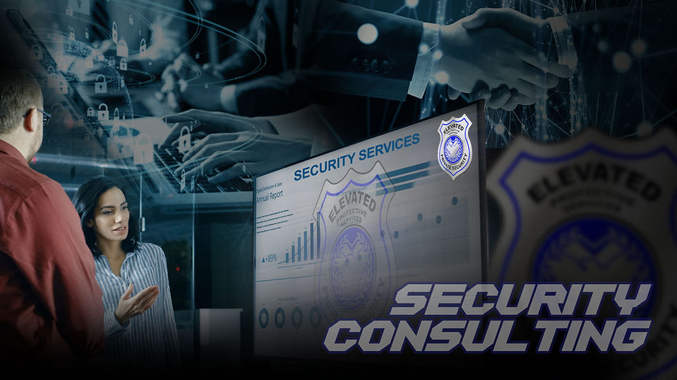 Security Consulting