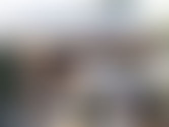 Van tuinschuur tot gezellige strandtent - Waldecklaan - Bussum