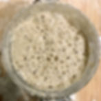 Biodynamic wholemeal (wheat) sourdough starter