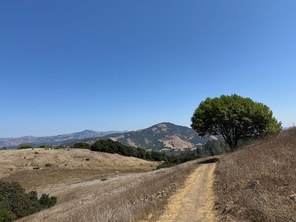 INTERMEDIATE: New Trails on Taylor Mountain