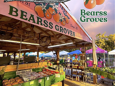 Screenshot 2025-04-29 144424.png