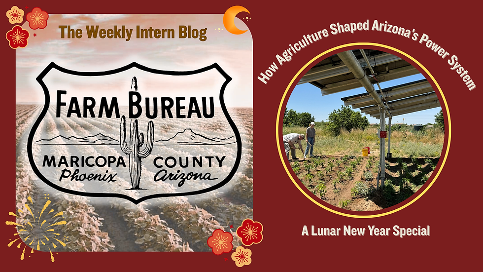 From Field to Grid: How Agriculture Shaped Arizona’s Power System