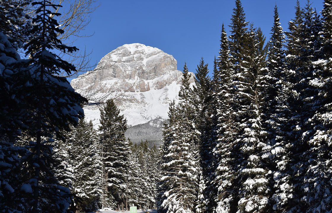 DSC_0339_edited.jpg