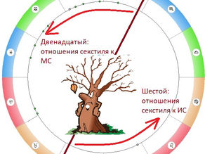 МАМА и ПАПА