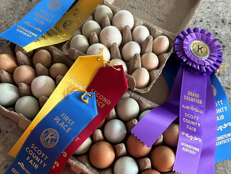 From Our Pasture to Your Plate: Real Food for Real Families