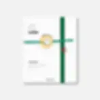 Bracelet Algérie DZ pour la CAN 2025 Afcon Maroc coupe d'Afrique Atelier Botini