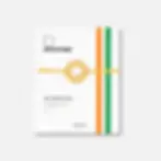 Bracelet de la Côte d'Ivoire pour la CAN 2025 Maroc coupe d'Afrique Atelier Botini