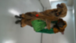 line_1180808130772.jpg