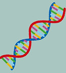 DNA_edited.jpg