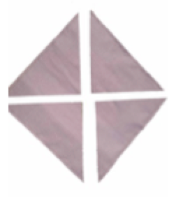 Custom alt text